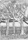WinterTrees_0002
